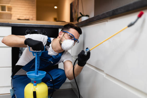  Hidden Meadows, CA Pest Control Pros