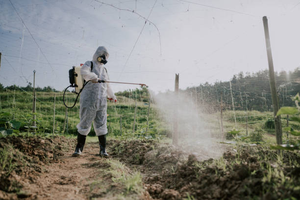 Best Pest Prevention Services  in Hidden Meadows, CA