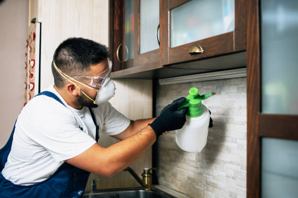Best Bed Bug Extermination  in Hidden Meadows, CA