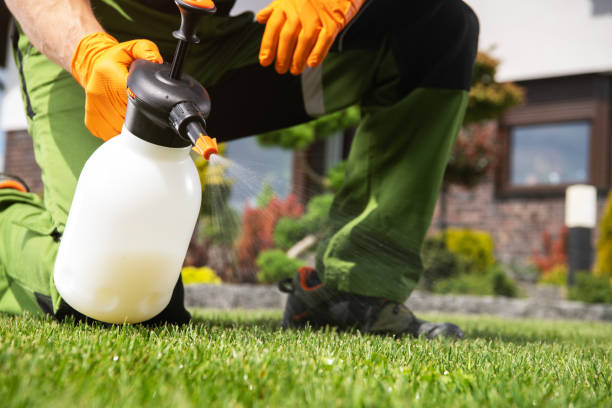 Best Affordable Pest Control Services  in Hidden Meadows, CA