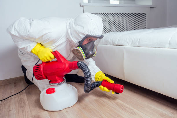 Trusted Hidden Meadows, CA Pest Control Experts