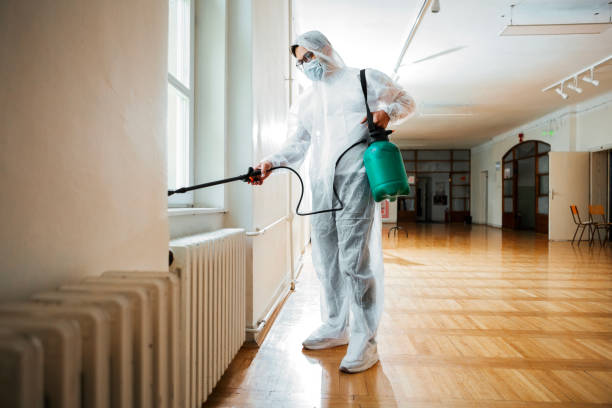 Best Best Pest Control Companies  in Hidden Meadows, CA