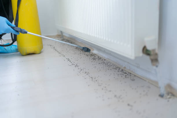 Best Best Pest Control Companies  in Hidden Meadows, CA